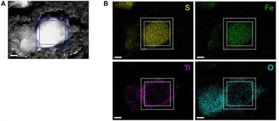 Improvement of Cycling Capability of Li2S-FeS Composite Positive Electrode Materials by Surface Coating With Titanium Oxide